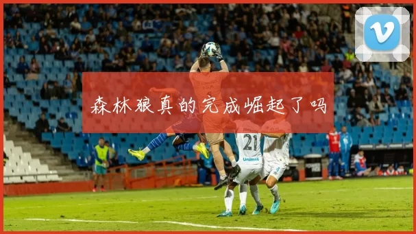 森林狼真的完成崛起了吗