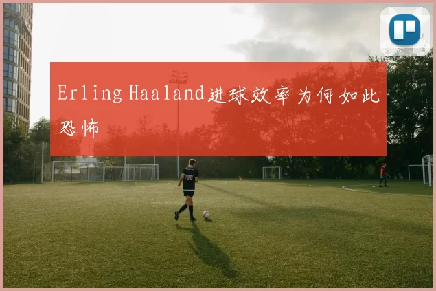Erling Haaland进球效率为何如此恐怖