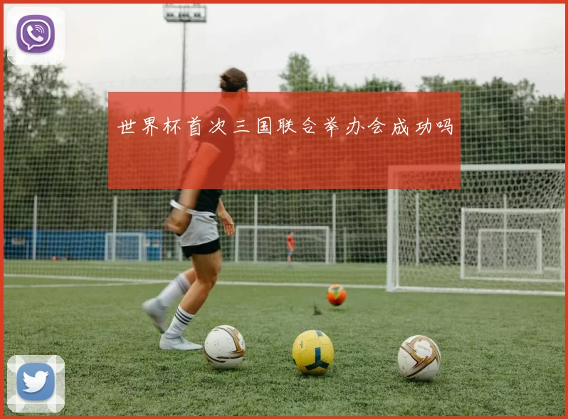 世界杯首次三国联合举办会成功吗