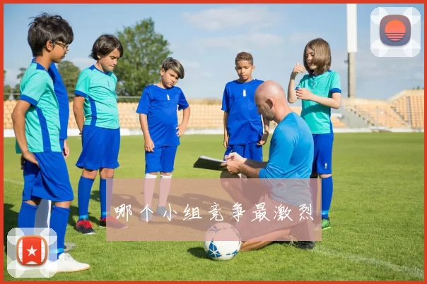 哪个小组竞争最激烈